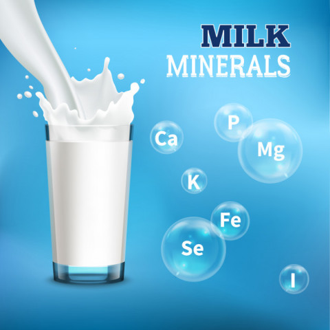 milk-minerals-vitamins